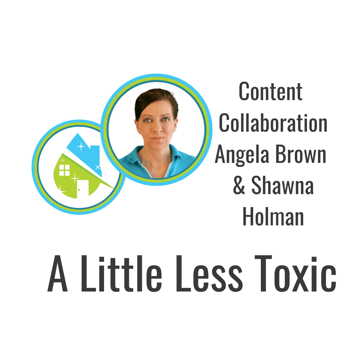 Shawna-Holman-A-Little-Less-Toxic-CoverageBook.png