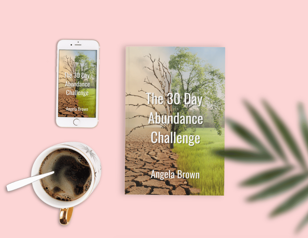 Abundance Book with 30 Day Email Sequence 1000 x 772