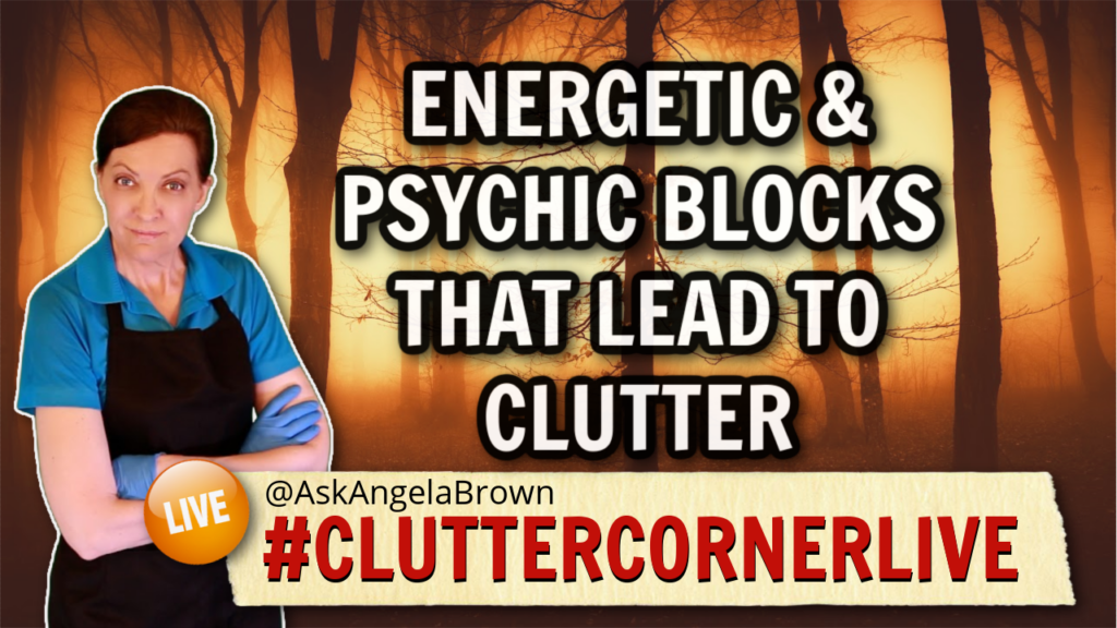 Aundrea Sides Energetic and Psychic Blocks That Lead to Clutter Promo