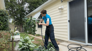 Angela Brown the House Cleaning Guru special project cleans silk plants outdoors